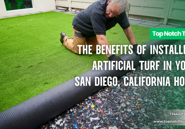 affordable artificial turf San Diego