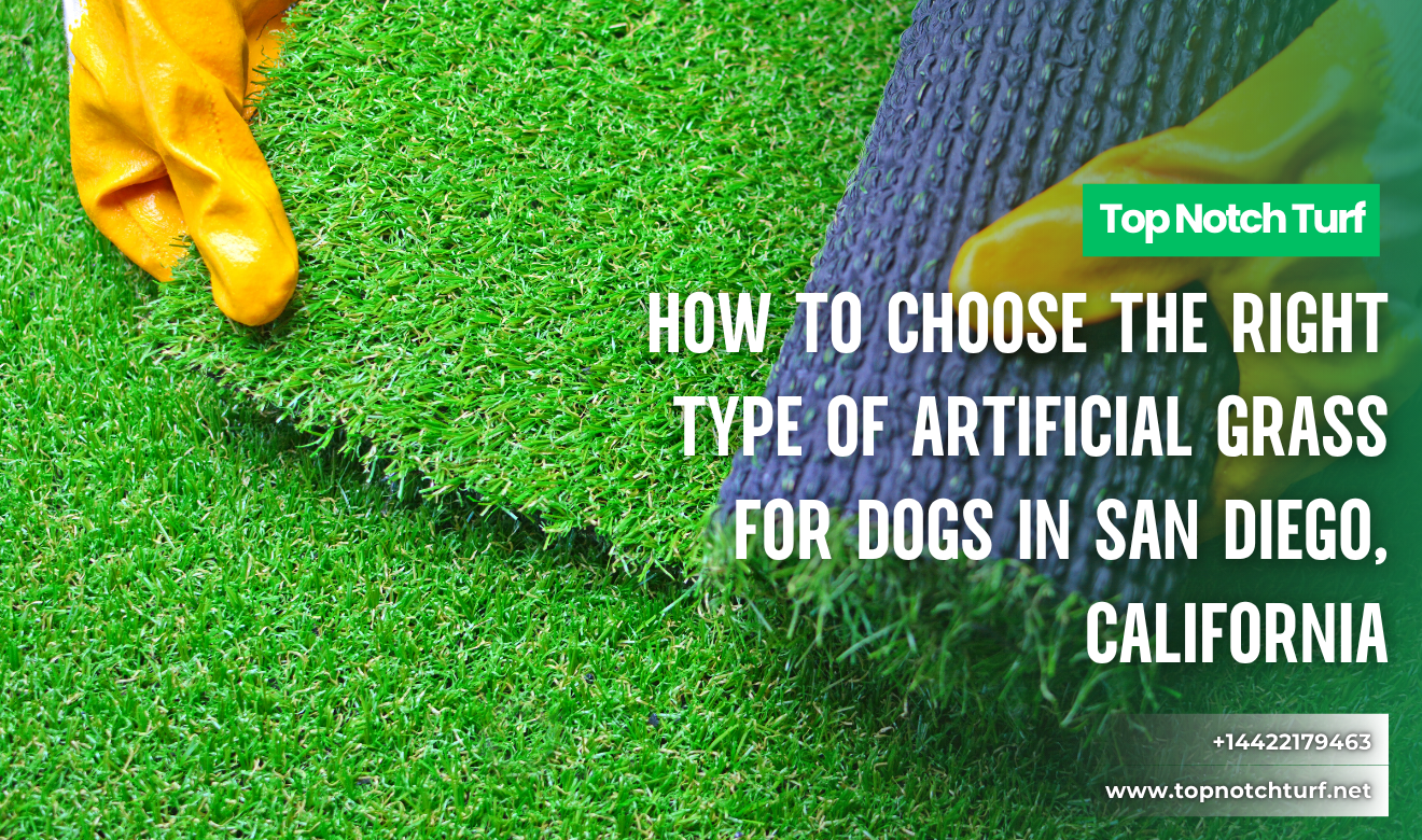 artificial grass for dogs cost San Diego