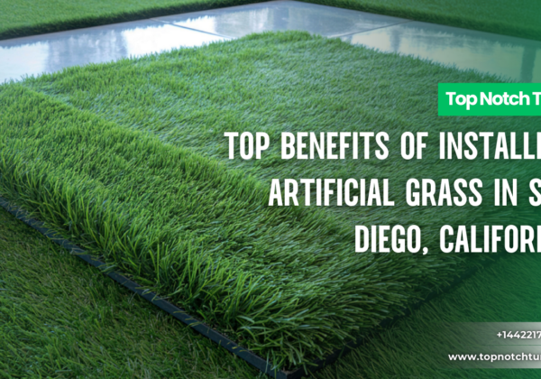 artificial grass installation cost San Diego