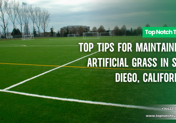 artificial grass maintenance needs San Diego