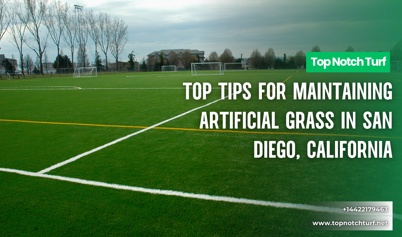 artificial grass maintenance needs San Diego