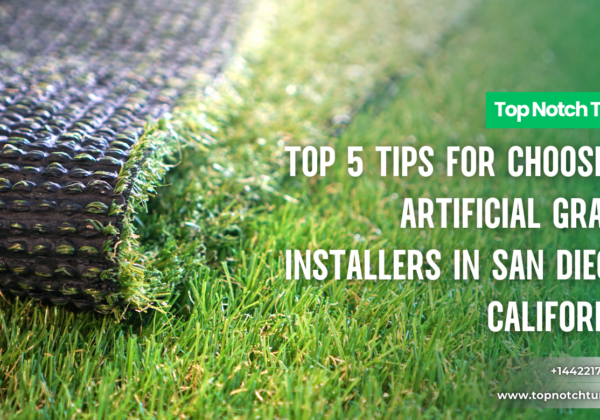 best artificial grass installers San Diego reviews