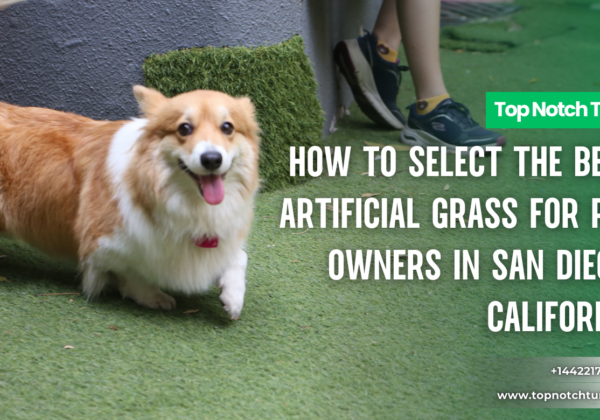 choose the right artificial grass San Diego