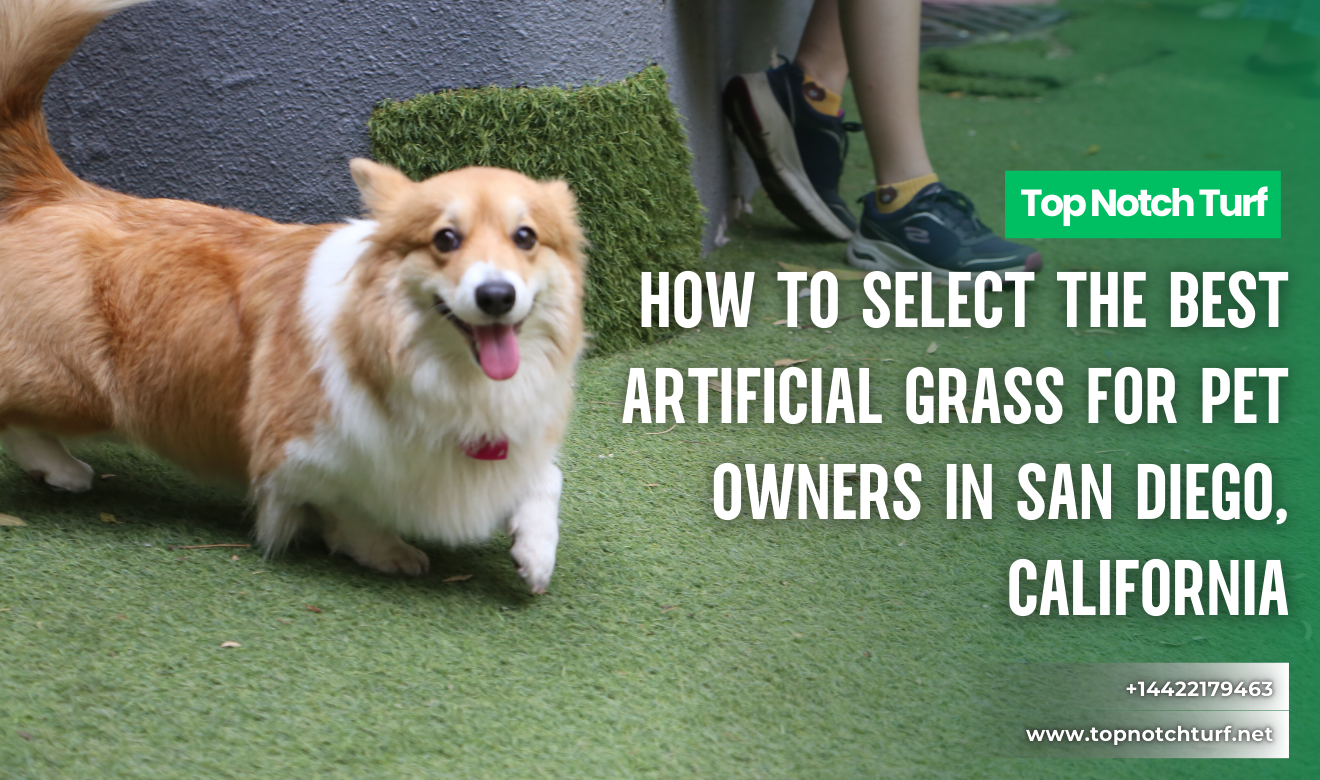 choose the right artificial grass San Diego