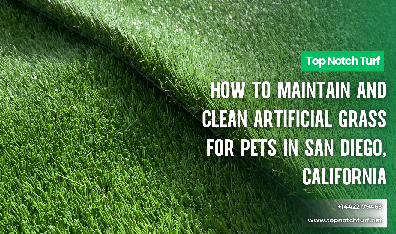 clean artificial grass for pets San Diego