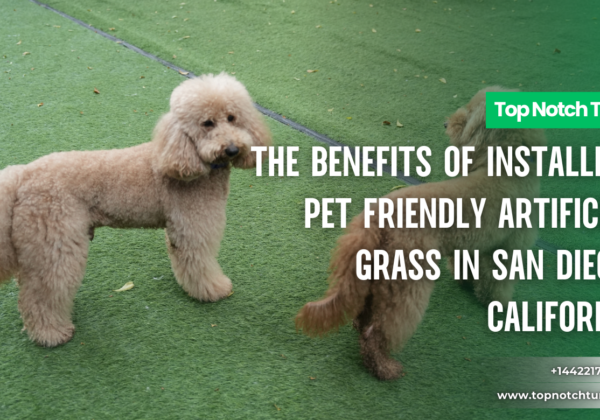 pet friendly artificial grass San Diego