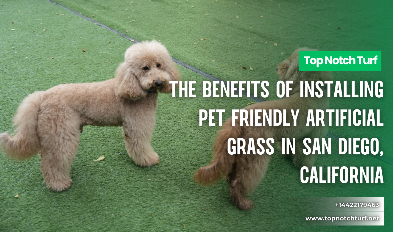 pet friendly artificial grass San Diego