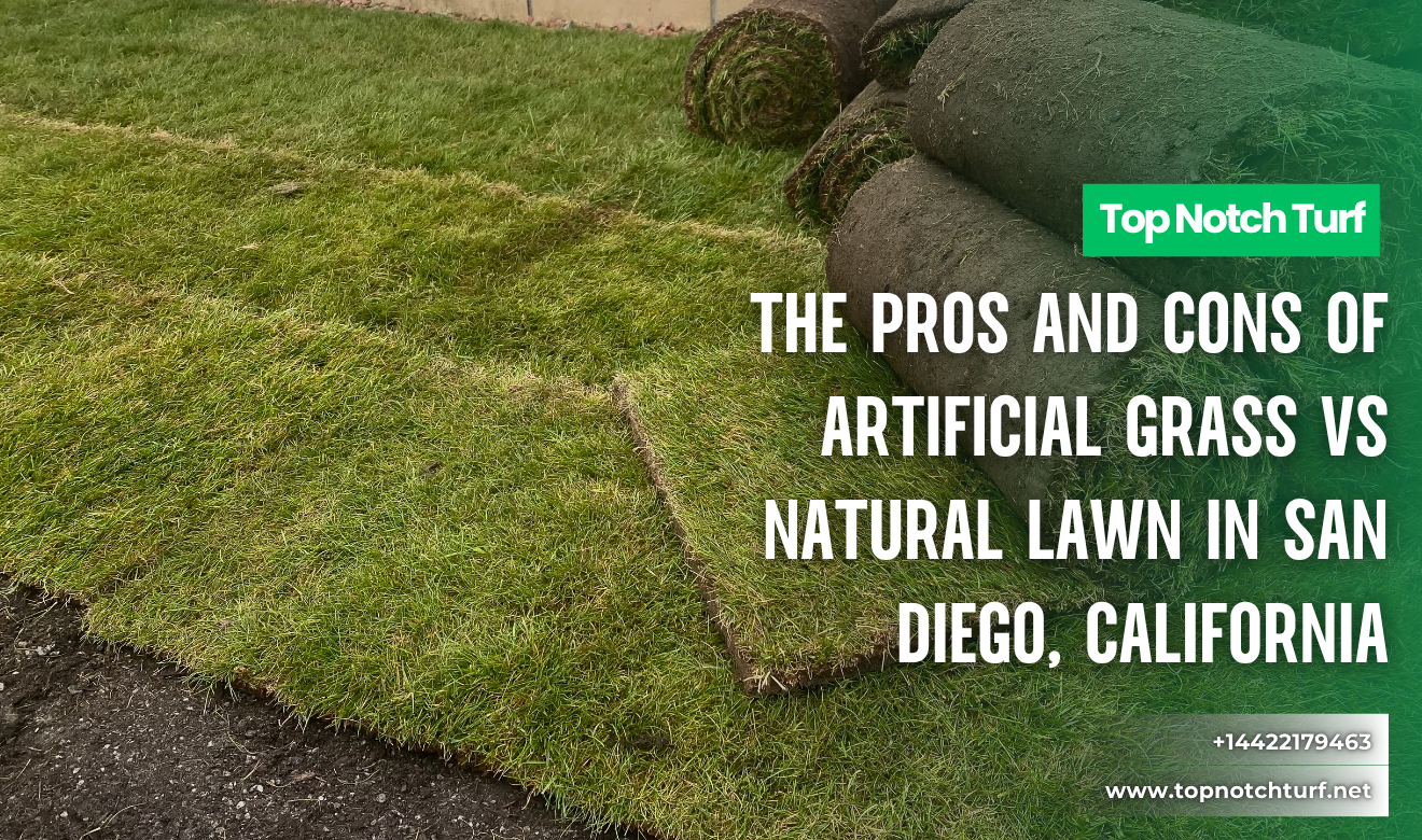 artificial grass vs natural lawn San Diego