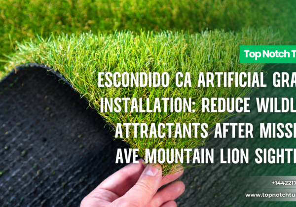 Escondido CA Artificial Grass Installation