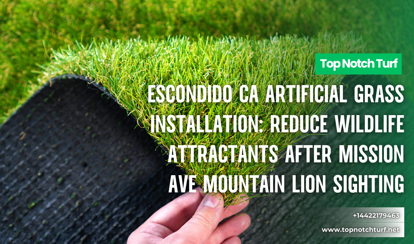 Escondido CA Artificial Grass Installation