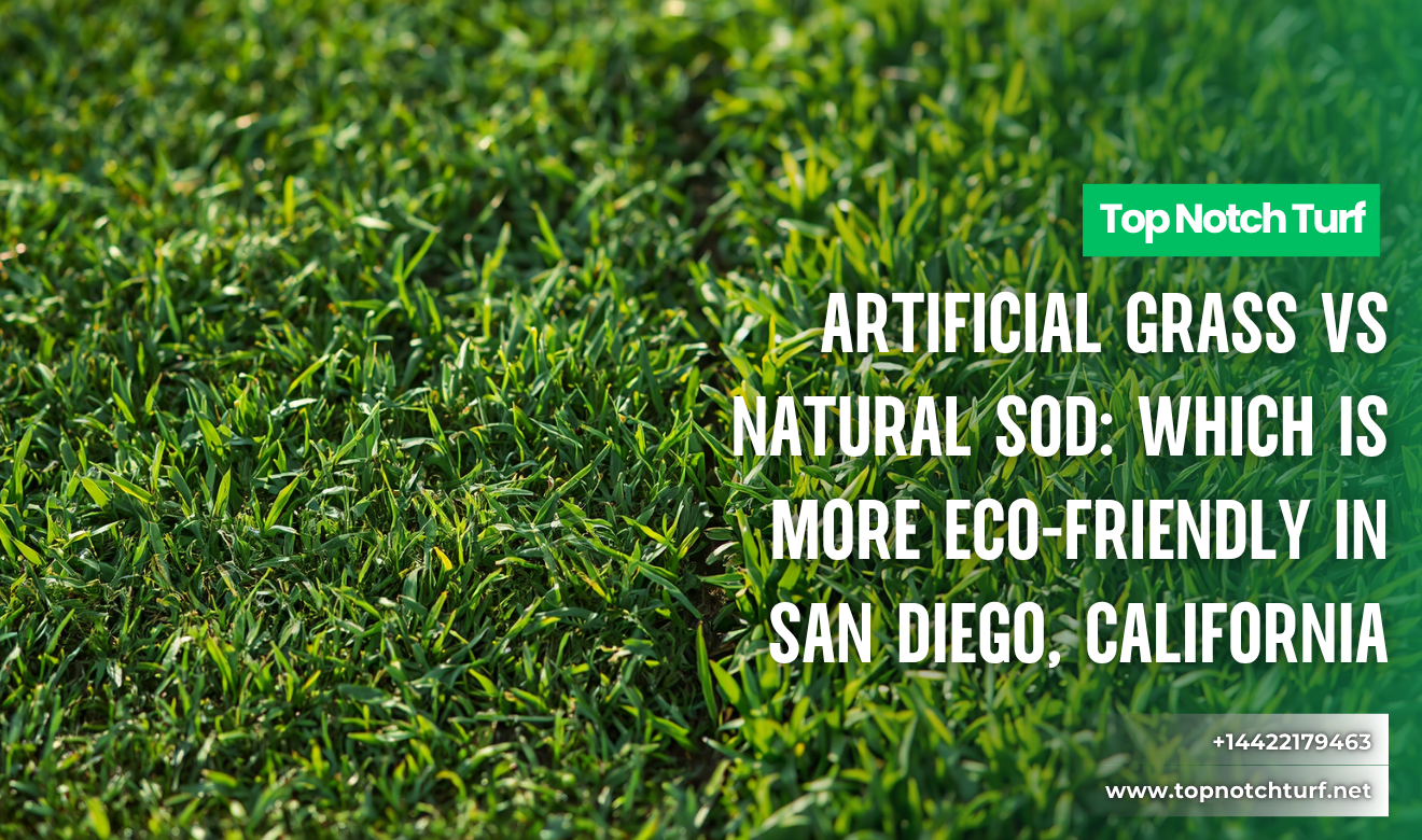 artificial grass vs sod cost San Diego