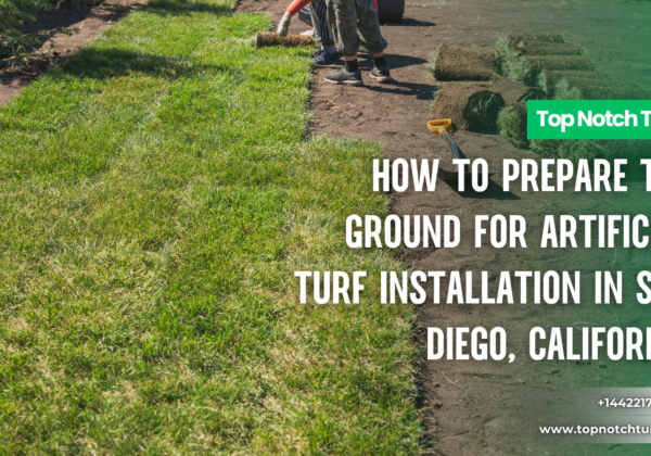 prepare ground for artificial turf San Diego