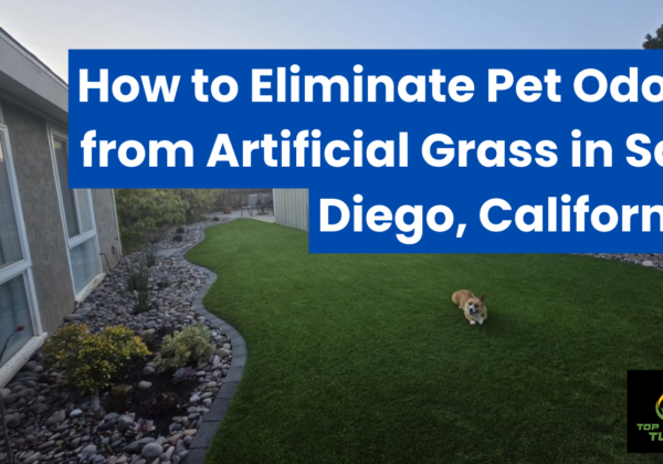 why artificial grass smells with pets San Diego