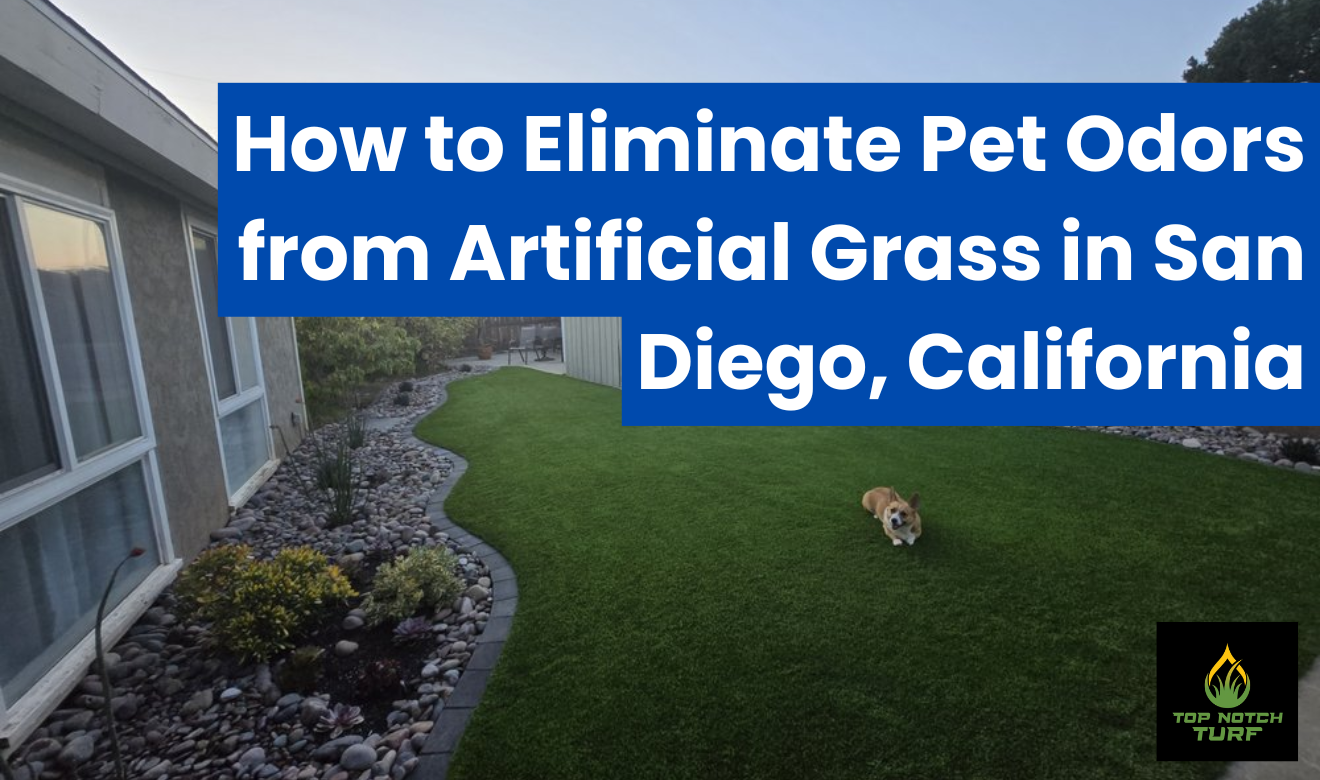 why artificial grass smells with pets San Diego