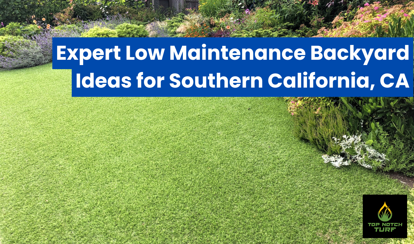 low maintenance backyard ideas for southern california