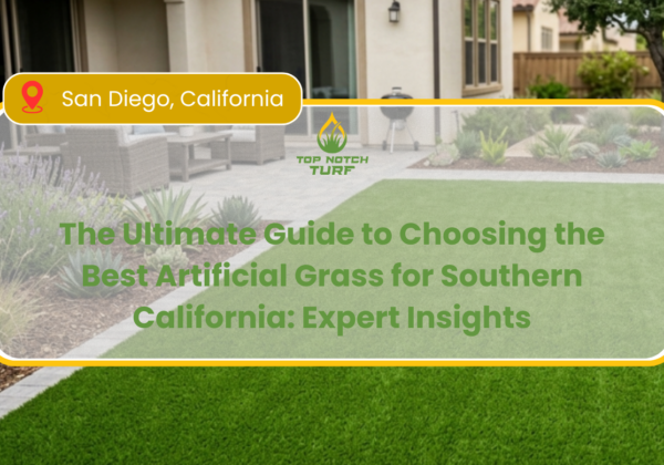 What Is the Best Artificial Grass for Southern California