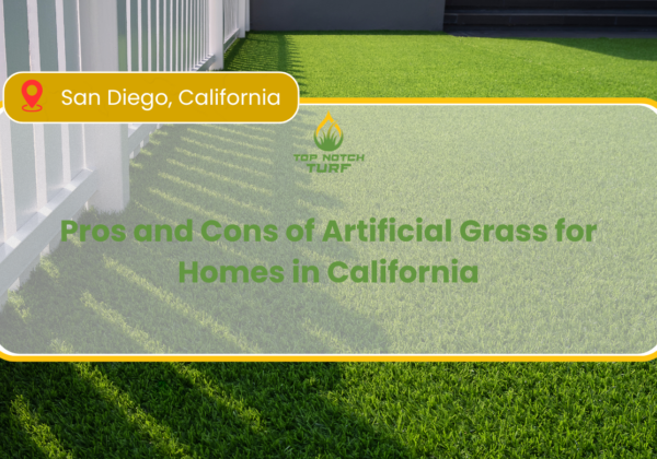 pros and cons of artificial grass for homes