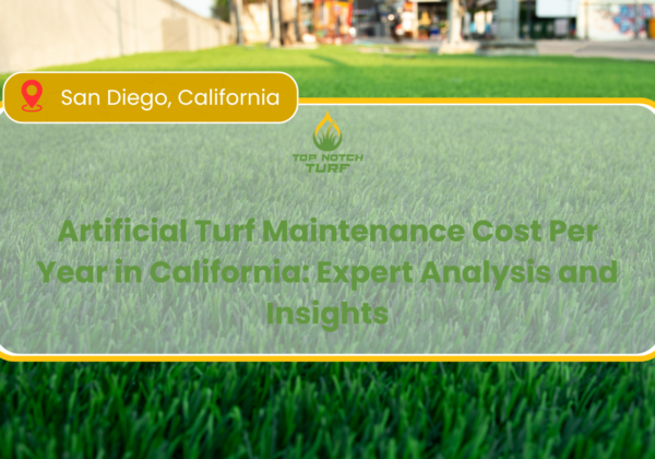 Artificial Turf Maintenance Cost Per Year